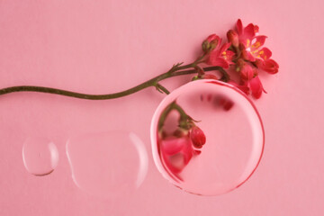 Three drops of cosmetic transparent gel on a pink background. The texture of the serum.