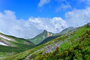 富士見岳から見た夏の乗鞍の情景＠長野