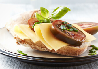Sandwich with cheese and tomatoes. Close up.