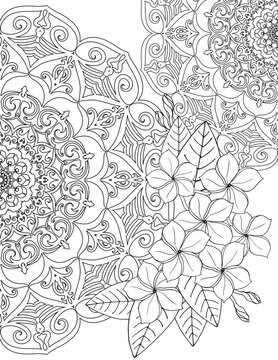 Coloring page for adults Mandala and a beautiful Tropical Flowers