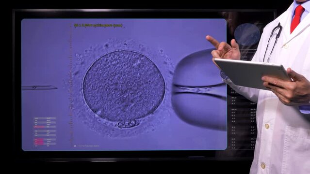  Sperms Fertilization