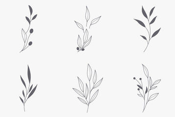 Leaf in hand drawn style. leaf shape and foliage black and white. Illustration for the Valentine's day, wedding decor, logo and identity template.