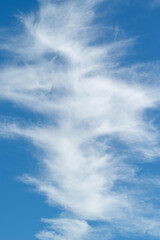 Obraz premium Cirrus, Federwolken am blauem Himmel