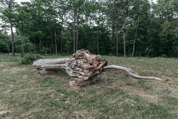 Fototapeta na wymiar Large artificial kite, dragon made of logs, wood. High quality photo