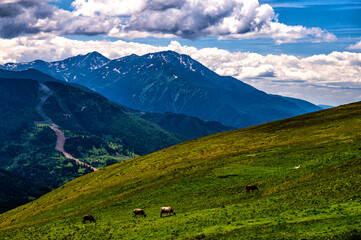 Obraz premium Mount Pietrosul Rodnei, the highest peak of Rodnei Mountains, Carpathians, Romania.