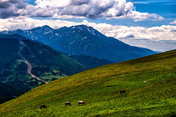Mount Pietrosul Rodnei, the highest peak of Rodnei Mountains, Carpathians, Romania.