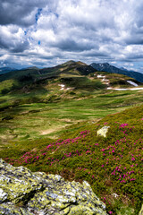 Summer landscape of Rodna (Rodnei) mountains, Carpathians, Romania.