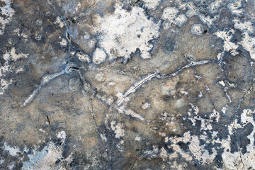 close up of ice on the ground