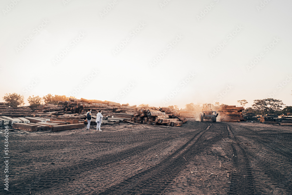 Wall mural sawmill with pile of logs, scientists and moving tractor in the background