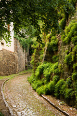 Fototapeta na wymiar Historical cobble stone laid narrow street in Meissen, Germany