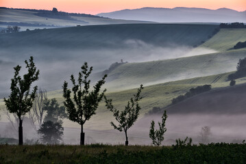 Obraz na płótnie Canvas Beautiful rolling landscape in South Moravia called Moravian Tuscany. Czech republic.