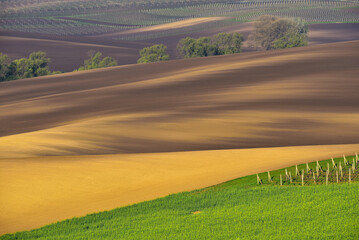 Beautiful rolling landscape in South Moravia called Moravian Tuscany. Czech republic.