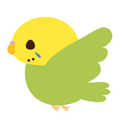 羽ばたくセキセイインコ