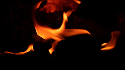 Burning fire close-up. Fire flame in the dark.