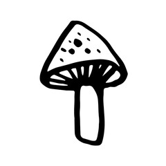 Doodle hand-drawn mushroom. Vector illustration