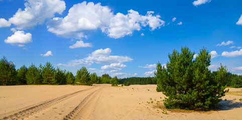 rural road through sandy desert under blue cloudy sky