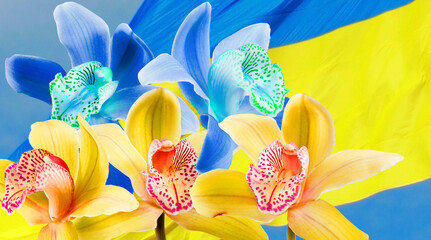  yellow and blue flowers on the background of the Ukrainian flag