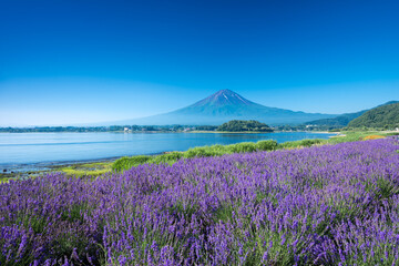 富士山　河口湖
