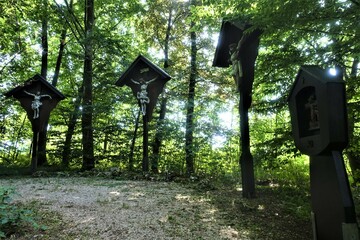 Schöne Landschaft in Donau-Ries
