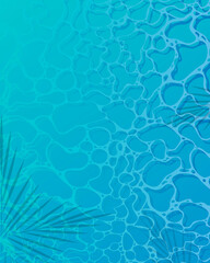 Abstract water waves in pool top view background and palm leaves shadow frame