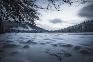 Dreamy view of the frozen Lac de Lispach in Vosges (France) at the blue hour with moody sky.