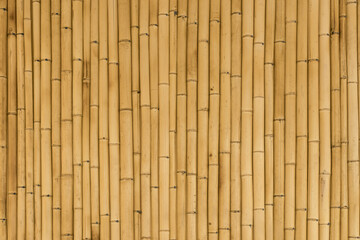 Bamboo background. Wooden texture bamboo plant on the decorative wall