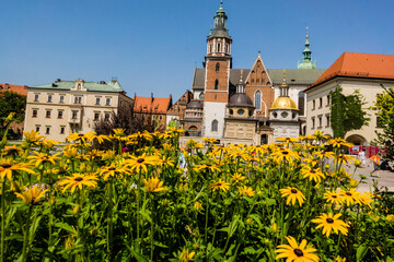 Catedral de Wawel, santuario nacional polaco, Cracovia,Polonia,  eastern europe