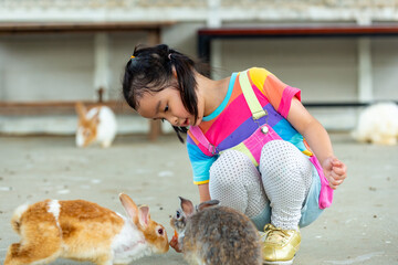 Little Asian child girl feeding carrot to the rabbit. Children kid enjoy and fun outdoor activity learning and playing with bunny at park on summer vacation. Children education and pet love concept