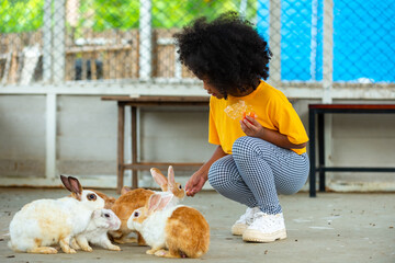 Little African child girl feeding carrot to the rabbit. Children kid enjoy and fun outdoor activity...