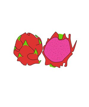 dragon fruit cartoon photo illustration