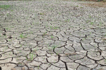 Close up of soil drought cracked background