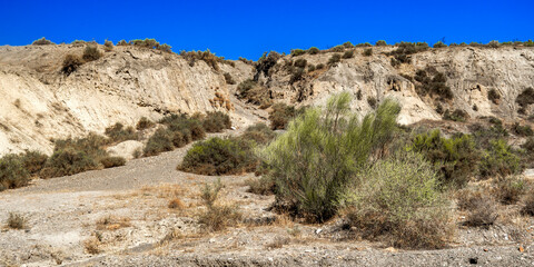 Fototapeta na wymiar Tabernas Desert Nature Reserve, Special Protection Area, Hot Desert Climate Region, Tabernas, Almería, Andalucía, Spain, Europe