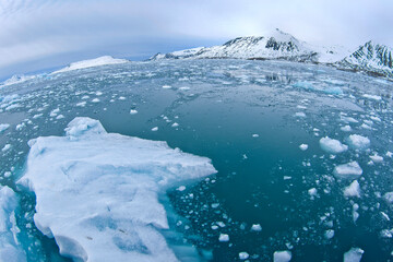 Fototapeta na wymiar Drift floating Ice and Snowcapped Mountains, Iceberg, Ice Floes, Albert I Land, Arctic, Spitsbergen, Svalbard, Norway, Europe