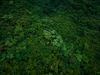 Aerial view of beautiful tropical forest mountain landscape