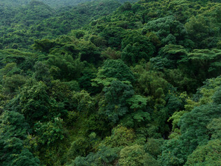 Aerial view of beautiful tropical forest mountain landscape