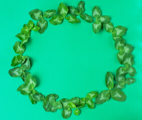 Saint patricks day green clower frame