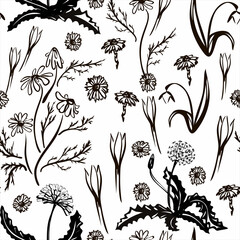 Vector illustration. Spring set drawn in black line. The first spring flowers. Image for your decor and design.