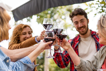 Cheerful group of young friends celebrating friendship toasting with red wine glasses having care...