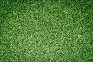 Green grass background