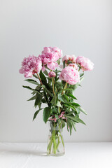 Beautiful bunch of fresh Pastel colored Pink peonies in full bloom in vase with white background