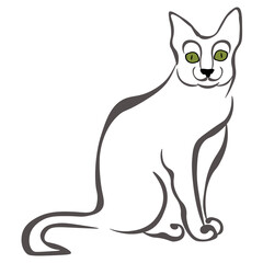 Korat cat, stylized portrait of a domestic pet