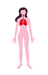 Plakat Woman with drawn lungs on white background. Anatomy concept