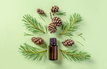 Essential oil and cones and needles of conifers trees on a green background