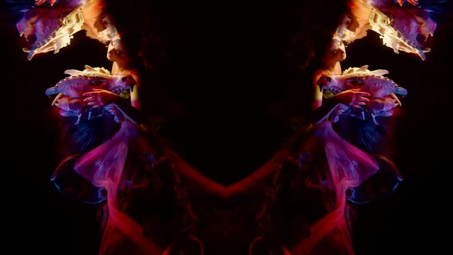 symmetric doubled shot with fantasy princess and dragon underwater, kaleidoscope and fairytale