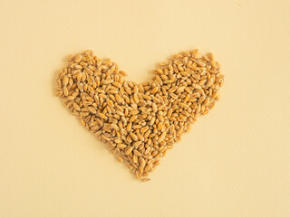 Dry durum wheat grains are scattered in an even layer in the shape of a heart, the place of copying. The concept of a good harvest or a global crisis, lack of bread, background