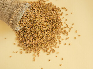 A bag of spilled wheat. The concept of a big harvest or a global crisis, lack of bread, background. View from above