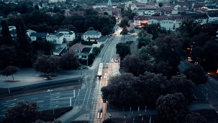 people walking in the city