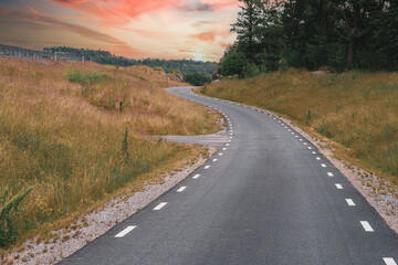 An asphalt winding path for cycling and walking in nature, summer day with flowering in the meadows and the rays of the sun