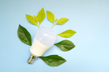 Save electricity, lights off, idea and innovation environmental conservation concept. Light bulb with fresh green leaves flat lay.