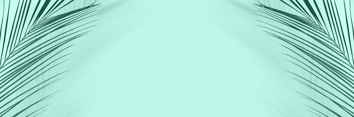 Tropical palm leaves on mint background with space for text